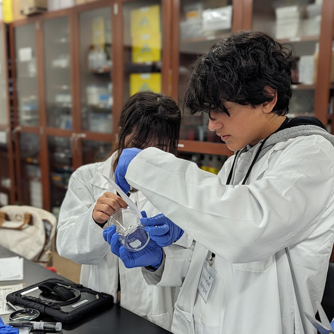 students in lab coats