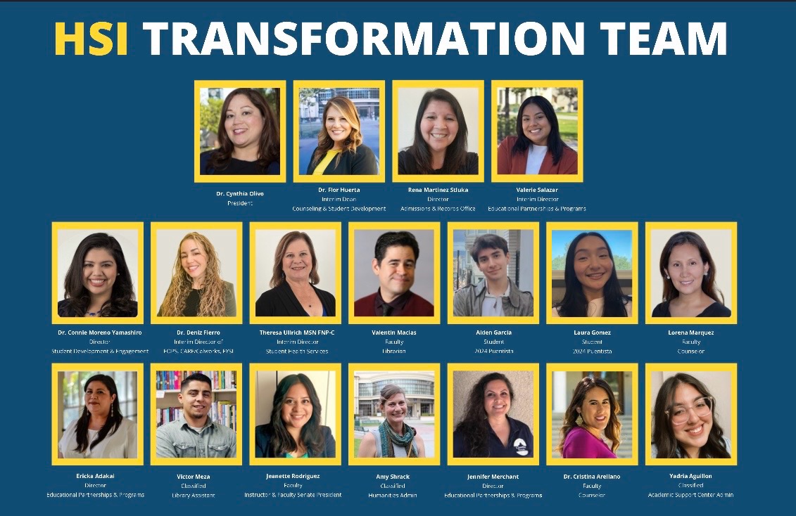 HSI transformation team members